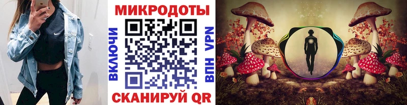 Псилоцибиновые грибы Magic Shrooms  купить наркотик  Кашин 